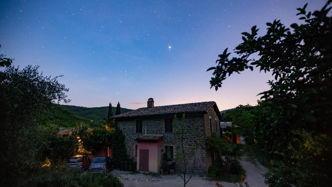 Casa Rosa Pensionat Santa Maria Lignano Eksteriør billede