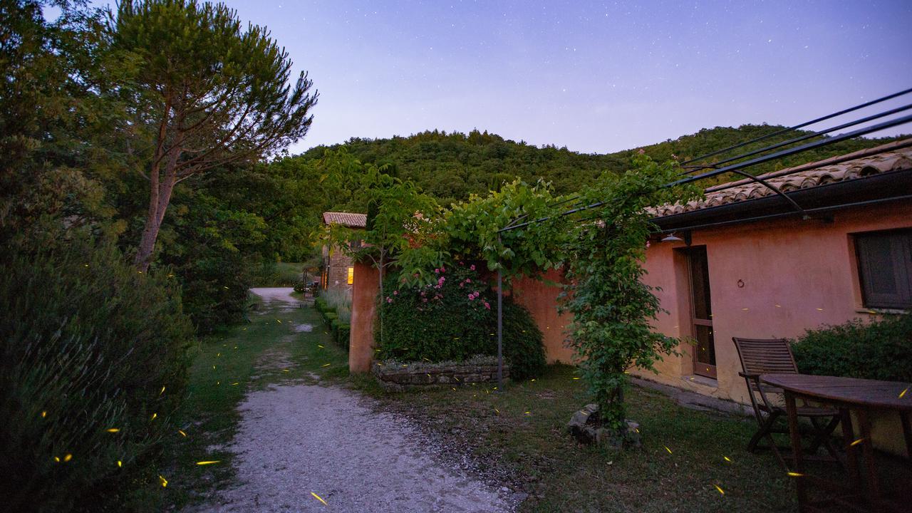 Casa Rosa Pensionat Santa Maria Lignano Eksteriør billede