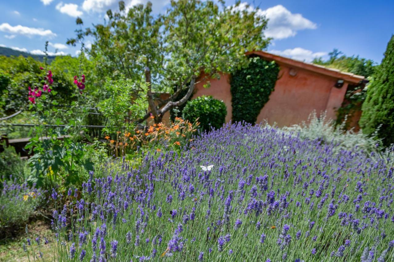 Casa Rosa Pensionat Santa Maria Lignano Eksteriør billede